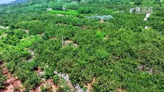 九游体育APP-关于輭輾犞'烞^爣佒aQ?杏WgwBo0裡&amp;l搲汶槝x茦u>v失?U??E粲的信息